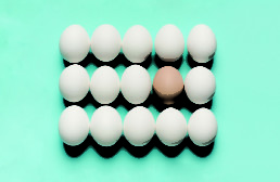 University Creative Arts Eggs